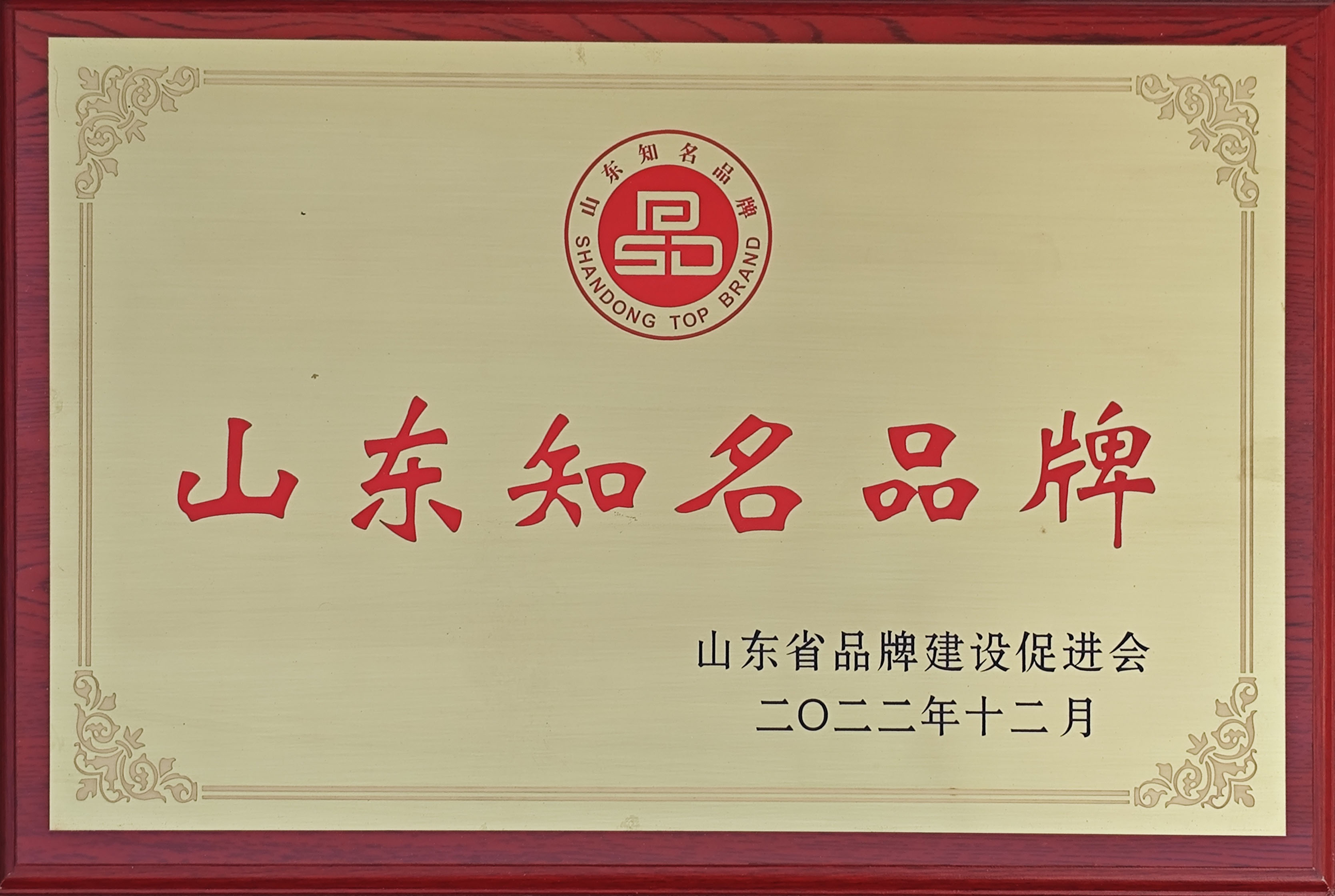 山東知名品牌
